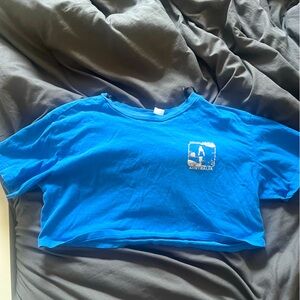 Blue cropped top
